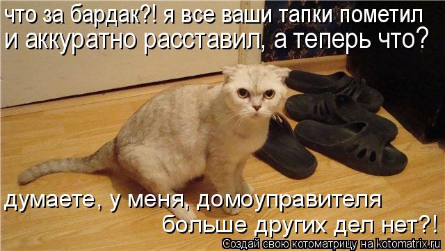 больше других дел нет?! думаете, у меня, домоуправителя что за бардак?! я все ваши тапки пометил и а... Котоматрица: больше других дел нет?! думаете, у меня, домоуправителя что за бардак?! я все ваши тапки пометил и аккуратно расставил, а теперь что?