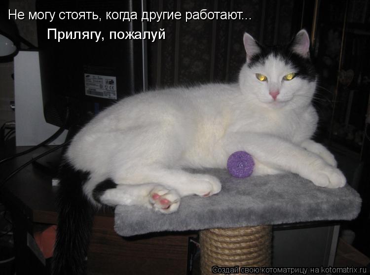 Не могу стоять, когда другие работают... Прилягу, пожалуй... Котоматрица: Не могу стоять, когда другие работают... Прилягу, пожалуй