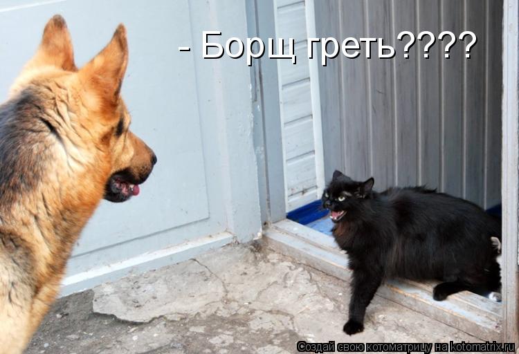 - Борщ греть????... Котоматрица: - Борщ греть????