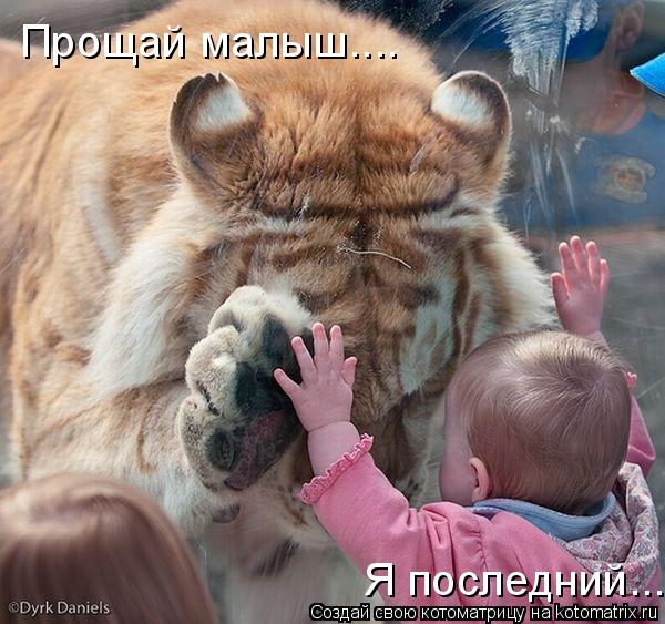 Прощай малыш.... Я последний...... Котоматрица: Прощай малыш.... Я последний...