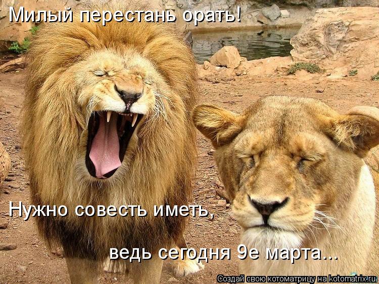 Милый перестань орать! Нужно совесть иметь, ведь сегодня 9е марта...... Котоматрица: Милый перестань орать! Нужно совесть иметь, ведь сегодня 9е марта...