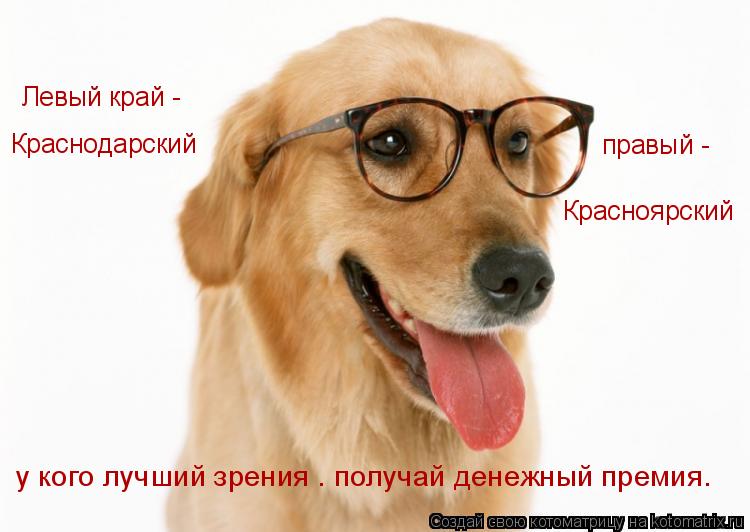 Краснодарский Левый край - Красноярский правый - у кого лучший зрения — получай денежный премия.... Котоматрица: Краснодарский Левый край - Красноярский правый - у кого лучший зрения — получай денежный премия.