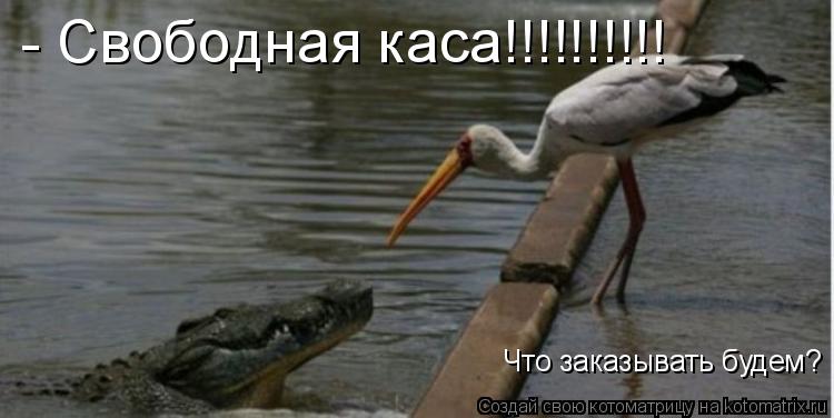- Свободная каса!!!!!!!!!! Что заказывать будем?... Котоматрица: - Свободная каса!!!!!!!!!! Что заказывать будем?