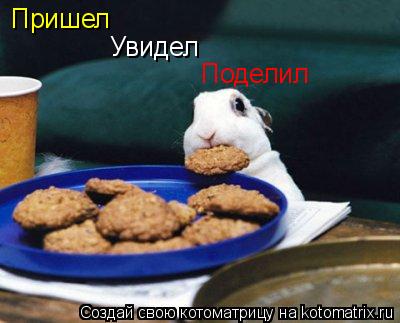 Пришел Увидел Поделил... Котоматрица: Пришел Увидел Поделил