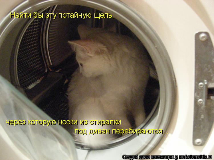 Найти бы эту потайную щель, через которую носки из стиралки под диван перебираются...... Котоматрица: Найти бы эту потайную щель, через которую носки из стиралки под диван перебираются...