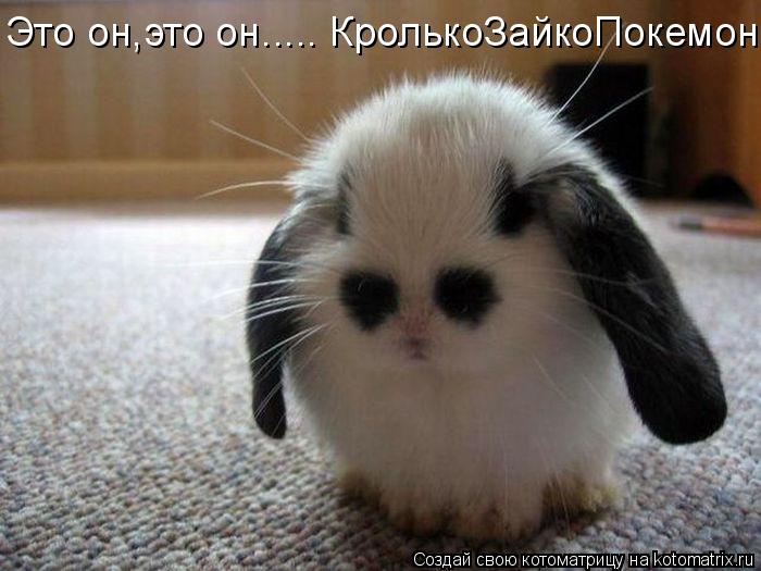 Это он,это он..... КролькоЗайкоПокемон... Котоматрица: Это он,это он..... КролькоЗайкоПокемон