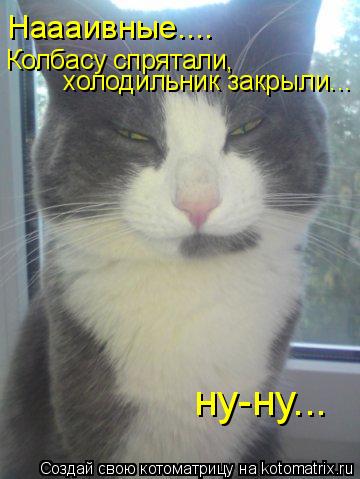 Наааивные.... Колбасу спрятали, холодильник закрыли... ну-ну...... Котоматрица: Наааивные.... Колбасу спрятали, холодильник закрыли... ну-ну...