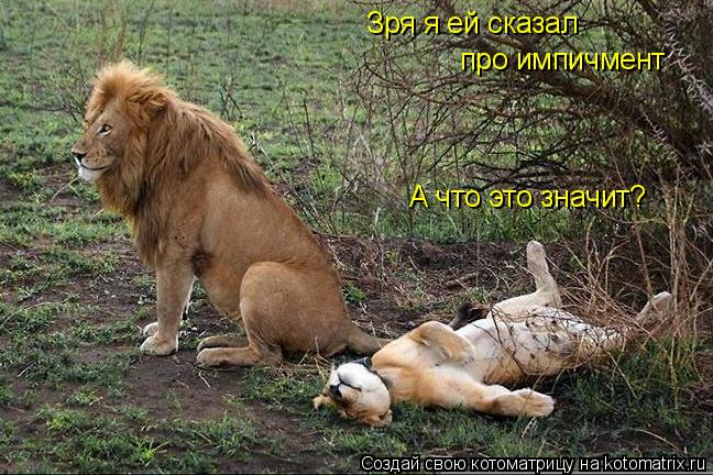 Зря я ей сказал про импичмент А что это значит?... Котоматрица: Зря я ей сказал про импичмент А что это значит?