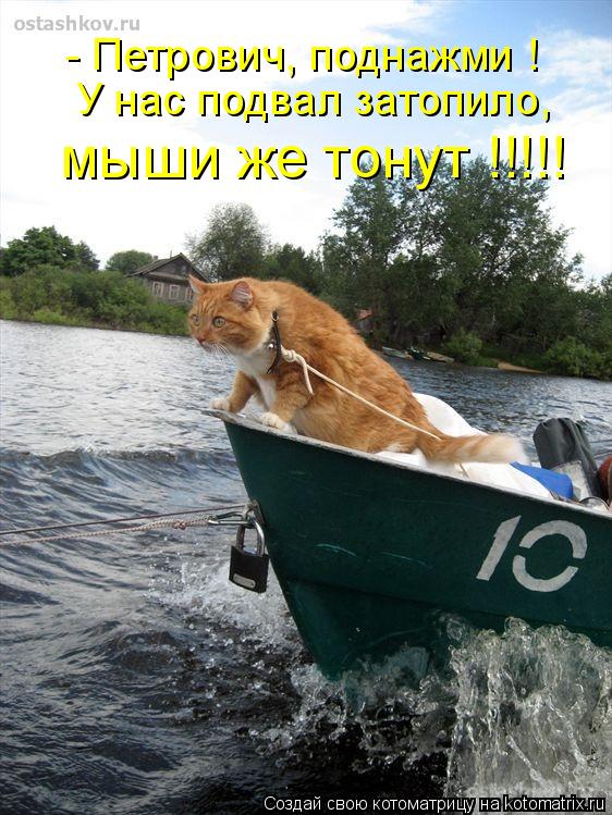 - Петрович, поднажми ! У нас подвал затопило, мыши же тонут !!!!!... Котоматрица: - Петрович, поднажми ! У нас подвал затопило, мыши же тонут !!!!!