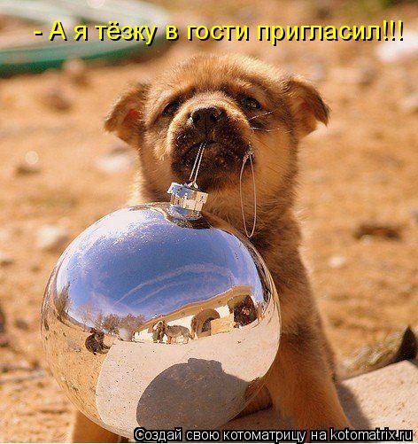 - А я тёзку в гости пригласил!!!... Котоматрица: - А я тёзку в гости пригласил!!!