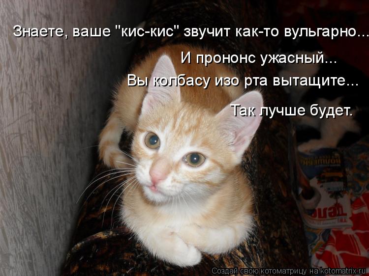 Знаете, ваше "кис-кис" звучит как-то вульгарно... И прононс ужасный... Так лучше будет. Вы колбасу из... Котоматрица: Знаете, ваше "кис-кис" звучит как-то вульгарно... И прононс ужасный... Так лучше будет. Вы колбасу изо рта вытащите...