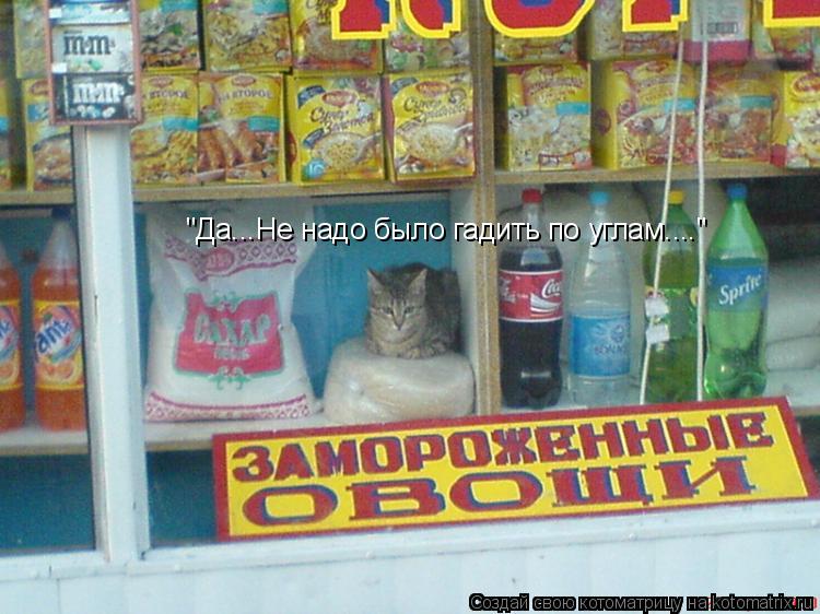 "Да...Не надо было гадить по углам...."... Котоматрица: "Да...Не надо было гадить по углам...."