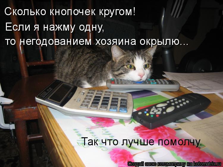 Сколько кнопочек кругом! Если я нажму одну, то негодованием хозяина окрылю... Так что лучше помолчу.... Котоматрица: Сколько кнопочек кругом! Если я нажму одну, то негодованием хозяина окрылю... Так что лучше помолчу.