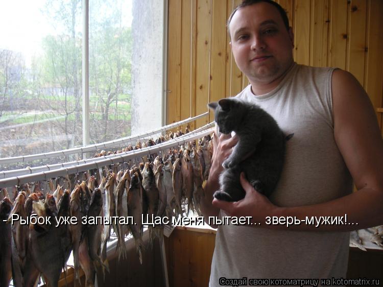- Рыбок уже запытал. Щас меня пытает... зверь-мужик!...... Котоматрица: - Рыбок уже запытал. Щас меня пытает... зверь-мужик!...