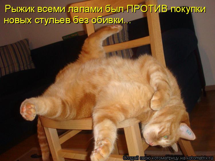 Рыжик всеми лапами был ПРОТИВ покупки новых стульев без обивки...... Котоматрица: Рыжик всеми лапами был ПРОТИВ покупки новых стульев без обивки...