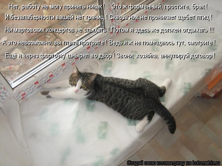 Нет, работу не могу принять никак ! Это ж форменный, простите, брак ! И безалаберности вашей нет г... Котоматрица: Нет, работу не могу принять никак ! Это ж форменный, простите, брак ! И безалаберности вашей нет границ ! Сквозь них не проникает щебет птиц !
