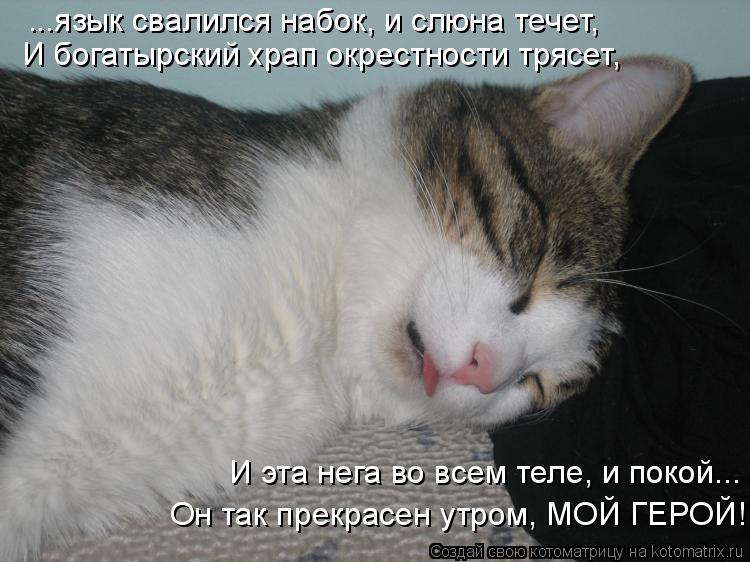 ...язык свалился набок, и слюна течет, И богатырский храп окрестности трясет, И эта нега во всем теле... Котоматрица: ...язык свалился набок, и слюна течет, И богатырский храп окрестности трясет, И эта нега во всем теле, и покой... Он так прекрасен утром, МОЙ ГЕР