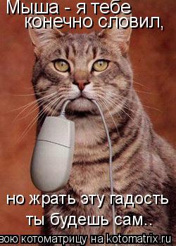Мыша - я тебе конечно словил, но жрать эту гадость ты будешь сам..... Котоматрица: Мыша - я тебе конечно словил, но жрать эту гадость ты будешь сам..