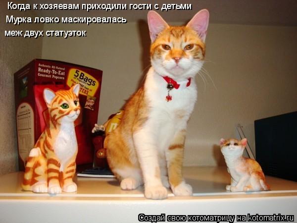 Когда к хозяевам приходили гости с детьми Мурка ловко маскировалась меж двух статуэток... Котоматрица: Когда к хозяевам приходили гости с детьми Мурка ловко маскировалась меж двух статуэток