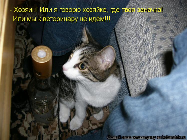 - Хозяин! Или я говорю хозяйке, где твоя заначка! Или мы к ветеринару не идём!!!... Котоматрица: - Хозяин! Или я говорю хозяйке, где твоя заначка! Или мы к ветеринару не идём!!!