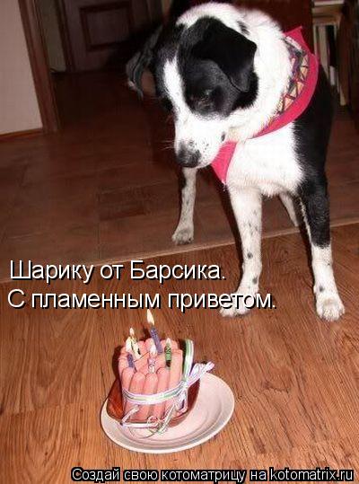 Котоматрица: Шарику от Барсика. С пламенным приветом.