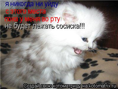 Котоматрица: я никогда ни уйду  с этого места пока у меня во рту не будет лежать сосиска!!!
