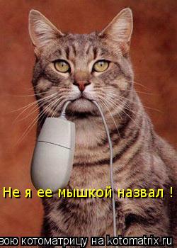 Котоматрица: Не я ее мышкой назвал !