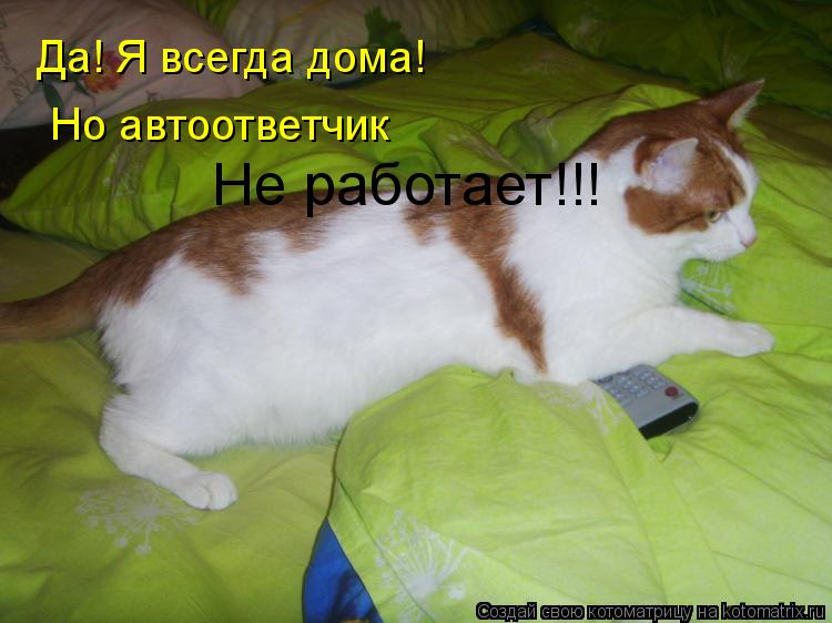 Котоматрица: Да! Я всегда дома!  Но автоответчик  Не работает!!!