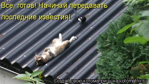 Все, готов! Начинай передавать последние известия!... Котоматрица: Все, готов! Начинай передавать последние известия!