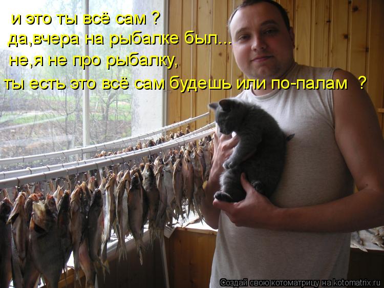 и это ты всё сам ? да,вчера на рыбалке был... не,я не про рыбалку, ты есть это всё сам будешь или по-... Котоматрица: и это ты всё сам ? да,вчера на рыбалке был... не,я не про рыбалку, ты есть это всё сам будешь или по-палам ?