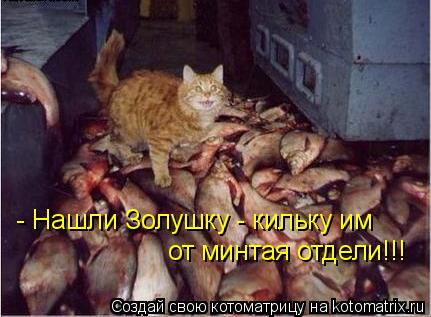 - Нашли Золушку - кильку им от минтая отдели!!!... Котоматрица: - Нашли Золушку - кильку им от минтая отдели!!!
