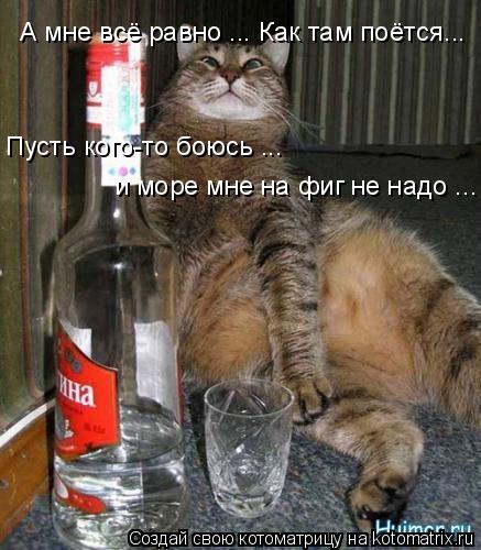 А мне всё равно ... Как там поётся... Пусть кого-то боюсь ... и море мне на фиг не надо ...... Котоматрица: А мне всё равно ... Как там поётся... Пусть кого-то боюсь ... и море мне на фиг не надо ...