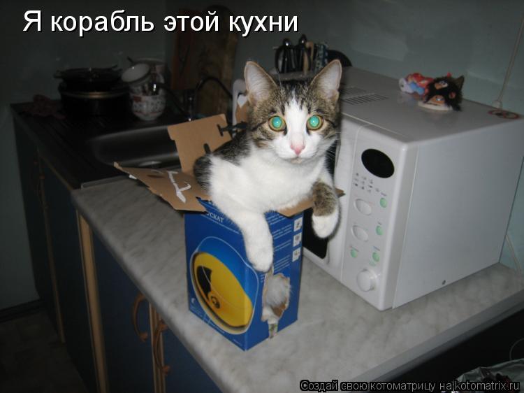 Я корабль этой кухни... Котоматрица: Я корабль этой кухни