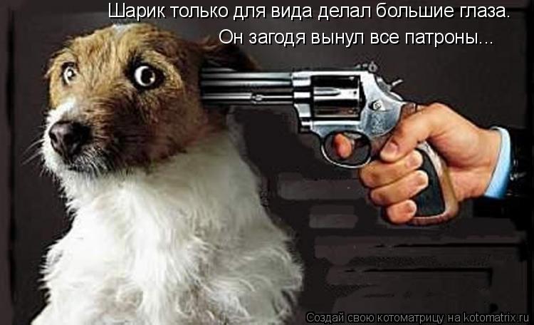 Он загодя вынул все патроны... Шарик только для вида делал большие глаза.... Котоматрица: Он загодя вынул все патроны... Шарик только для вида делал большие глаза.