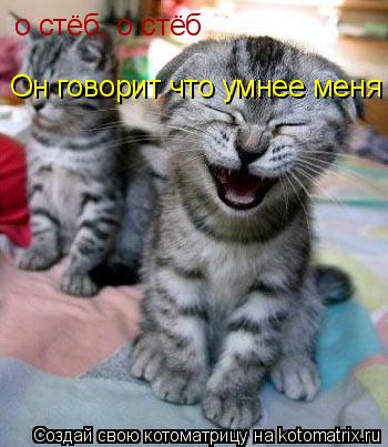 о стёб, о стёб Он говорит что умнее меня... Котоматрица: о стёб, о стёб Он говорит что умнее меня