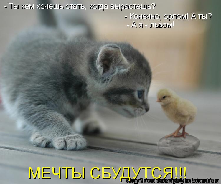 - Ты кем хочешь стать, когда вырастешь? - Конечно, орлом! А ты? - А я - львом! МЕЧТЫ СБУДУТСЯ!!!... Котоматрица: - Ты кем хочешь стать, когда вырастешь? - Конечно, орлом! А ты? - А я - львом! МЕЧТЫ СБУДУТСЯ!!!