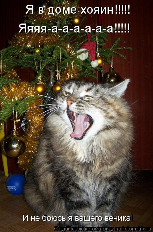 Я в доме хояин!!!!! Яяяя-а-а-а-а-а-а!!!!! И не боюсь я вашего веника!... Котоматрица: Я в доме хояин!!!!! Яяяя-а-а-а-а-а-а!!!!! И не боюсь я вашего веника!