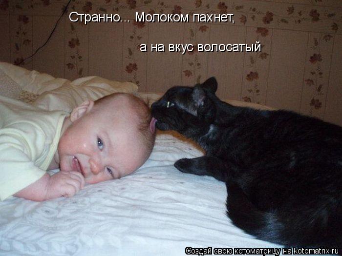 Странно... Молоком пахнет, а на вкус волосатый... Котоматрица: Странно... Молоком пахнет, а на вкус волосатый
