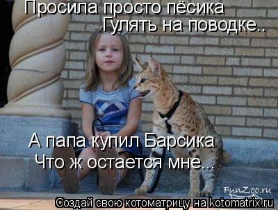 Просила просто пёсика Гулять на поводке.. А папа купил Барсика Что ж остается мне...... Котоматрица: Просила просто пёсика Гулять на поводке.. А папа купил Барсика Что ж остается мне...