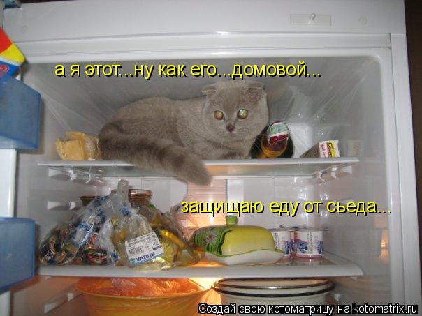 а я этот...ну как его...домовой... защищаю еду от сьеда...... Котоматрица: а я этот...ну как его...домовой... защищаю еду от сьеда...