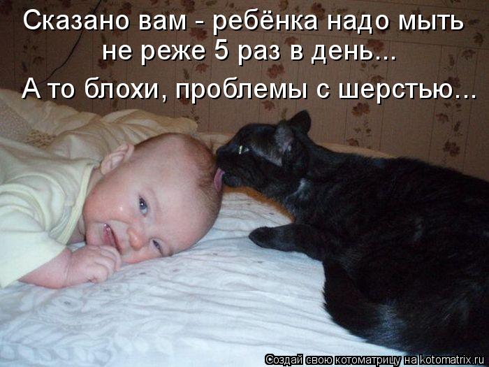 Сказано вам - ребёнка надо мыть не реже 5 раз в день... А то блохи, проблемы с шерстью...... Котоматрица: Сказано вам - ребёнка надо мыть не реже 5 раз в день... А то блохи, проблемы с шерстью...