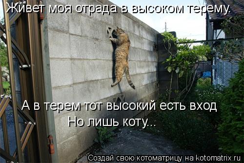 Живет моя отрада в высоком терему. А в терем тот высокий есть вход Но лишь коту...... Котоматрица: Живет моя отрада в высоком терему. А в терем тот высокий есть вход Но лишь коту...