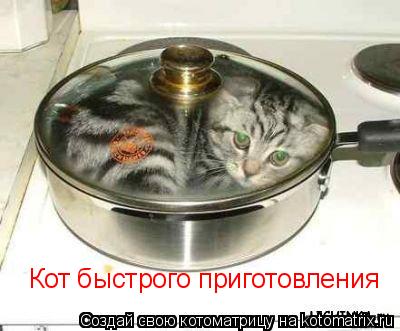 Кот быстрого приготовления... Котоматрица: Кот быстрого приготовления