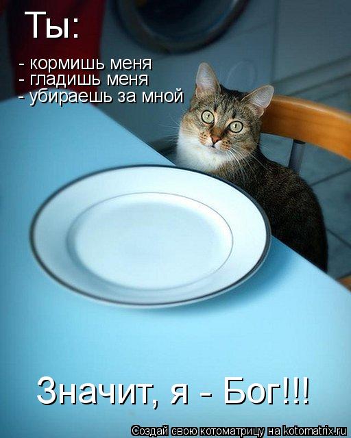 Ты: - кормишь меня - гладишь меня - убираешь за мной Значит, я - Бог!!!... Котоматрица: Ты: - кормишь меня - гладишь меня - убираешь за мной Значит, я - Бог!!!
