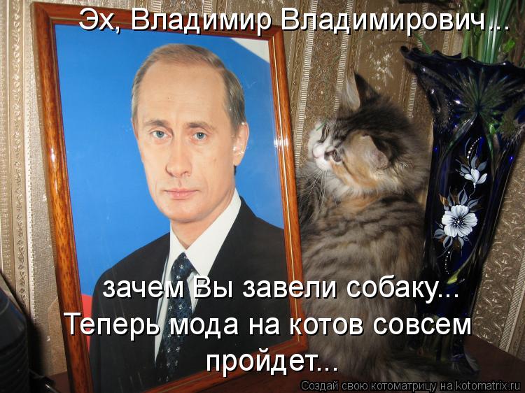 Эх, Владимир Владимирович... зачем Вы завели собаку... Теперь мода на котов совсем пройдет...... Котоматрица: Эх, Владимир Владимирович... зачем Вы завели собаку... Теперь мода на котов совсем пройдет...