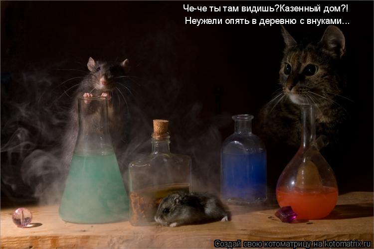 Че-че ты там видишь?Казенный дом?! Неужели опять в деревню с внуками...... Котоматрица: Че-че ты там видишь?Казенный дом?! Неужели опять в деревню с внуками...