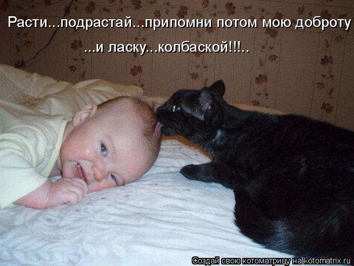 Расти...подрастай...припомни потом мою доброту ...и ласку...колбаской!!!..... Котоматрица: Расти...подрастай...припомни потом мою доброту ...и ласку...колбаской!!!..