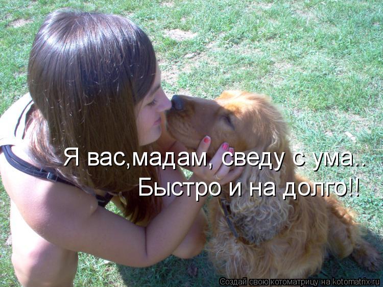 Я вас,мадам, сведу с ума.. Быстро и на долго!!... Котоматрица: Я вас,мадам, сведу с ума.. Быстро и на долго!!