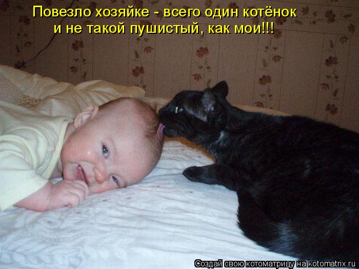 Повезло хозяйке - всего один котёнок и не такой пушистый, как мои!!!... Котоматрица: Повезло хозяйке - всего один котёнок и не такой пушистый, как мои!!!