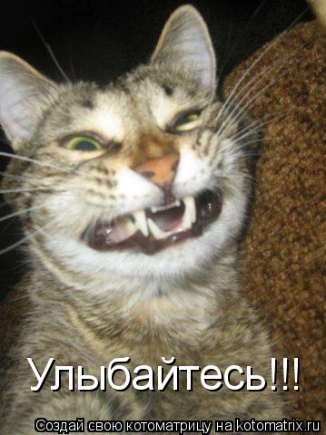 Улыбайтесь!!!... Котоматрица: Улыбайтесь!!!
